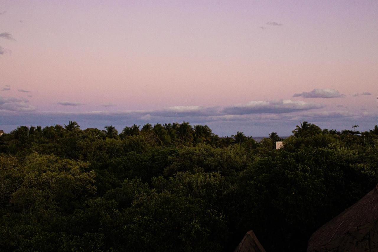 Mamasan Treehouses & Cabins Tulum Pueblo Buitenkant foto
